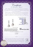 product certificate: FW-W-AAAA-78-E-Colleen