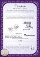 product certificate: FW-W-AAAA-78-E-Natasha