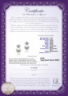 product certificate: FW-W-AAAA-78-E-Star