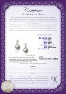 product certificate: FW-W-AAAA-78-E-Valery