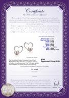 Product certificate: FW-W-AAAA-78-E-Vanessa