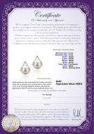 product certificate: FW-W-AAAA-89-E-Africa