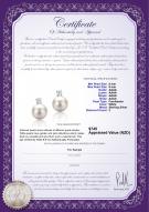 product certificate: FW-W-AAAA-89-E-Eternity