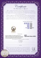 product certificate: FW-W-AAAA-910-L1