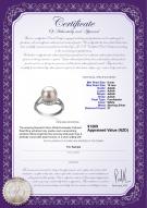 product certificate: FW-W-AAAA-910-R-Royisal