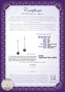 Product certificate: JAK-B-AA-67-E-Misha