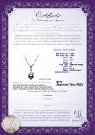 Product certificate: JAK-B-AA-67-P-Ariana