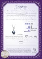 Product certificate: JAK-B-AA-78-P-Daria