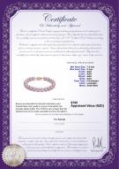 product certificate: P-AAA-78-B-OLAV