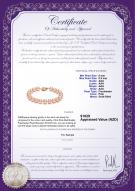 product certificate: P-AAA-89-B