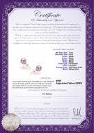 product certificate: P-AAAA-78-E-OLAV