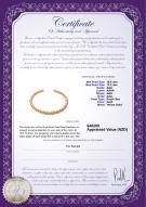 Product certificate: SSEA-G-N-C302