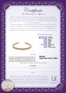 Product certificate: SSEA-G-N-C313
