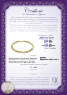 Product certificate: SSEA-G-N-Q213