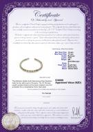 Product certificate: SSEA-MULTI-N-C320
