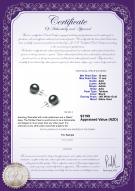 Product certificate: TAH-1011-E