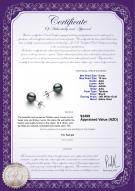 Product certificate: TAH-910-E