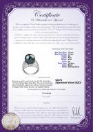 Product certificate: TAH-B-AA-1213-R-Alva