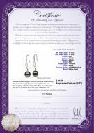 product certificate: TAH-B-AAA-1011-E-Olivia