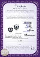 product certificate: TAH-B-AAA-1011-E-Tammy