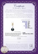 product certificate: TAH-B-AAA-1011-P-Brianna