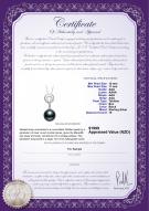 product certificate: TAH-B-AAA-1011-P-Meredith