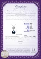 Product certificate: TAH-B-AAA-1011-P-Snow