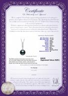 product certificate: TAH-B-AAA-1011-P-Talitha