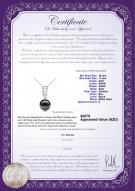 product certificate: TAH-B-AAA-1011-P-Zuella