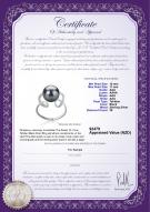 product certificate: TAH-B-AAA-1011-R-Sheila