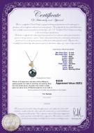 Product certificate: TAH-B-AAA-1112-P-Felicia