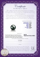 product certificate: TAH-B-AAA-1213-L1