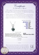 Product certificate: TAH-B-AAA-1213-P-Marlo