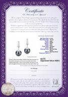 product certificate: TAH-B-AAA-910-E-Erma