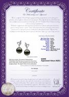 Product certificate: TAH-B-AAA-910-E-Jeannie