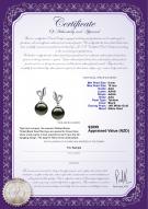 product certificate: TAH-B-AAA-910-E-Jeannie