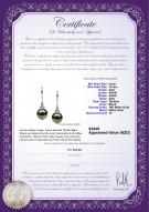 product certificate: TAH-B-AAA-910-E-Merry