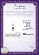 product certificate: TAH-B-AAA-910-P-Pamela