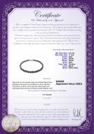 product certificate: TAH-B-N-Q111