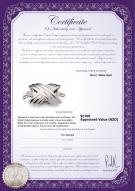 Product certificate: W-18K-Oxford-Clasp