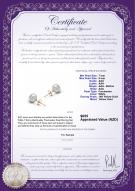 product certificate: W-78-E