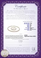 Product certificate: W-AA-67-S