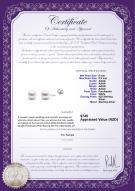 product certificate: W-AAAA-885-E