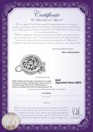 Product certificate: W-SS-round-clasp-Ragel