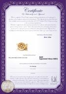 Product certificate: Y-Alloy-DBL-Round-Clasp-Nala