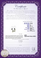 product certificate: ZFED-9-MGRN