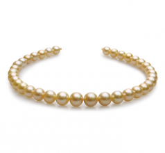 10-13.5mm AAA Quality South Sea Cultured Pearl Necklace in 18-inch Gold