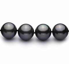 12-12.9mm AAA Quality Tahitian Cultured Pearl Necklace in Black