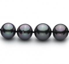 9.1-11mm AA+ Quality Tahitian Cultured Pearl Necklace in Black