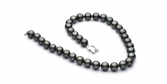 10.9-13.8mm AAA Quality Tahitian Cultured Pearl Necklace in Black